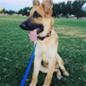 Meet your Posher, Nle_tapia